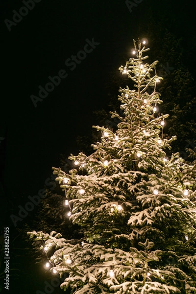 Fototapeta Glowing christmas tree with light string