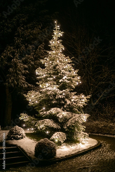 Obraz Glowing christmas tree with light string