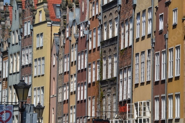 Obraz Many windows in the house