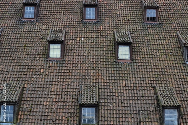 Obraz The windows in the roof of the house