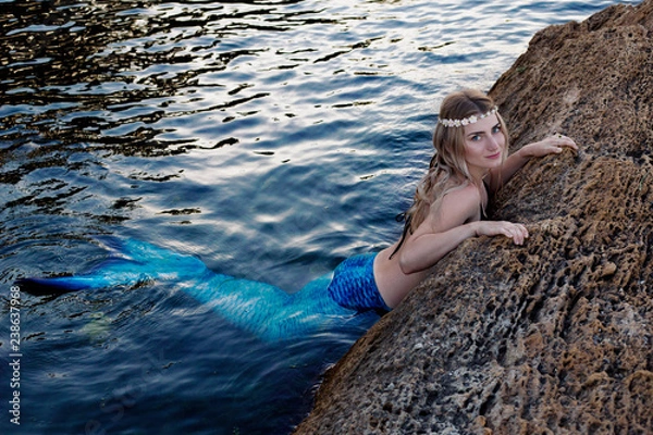 Obraz the mermaid is basking on the seashore