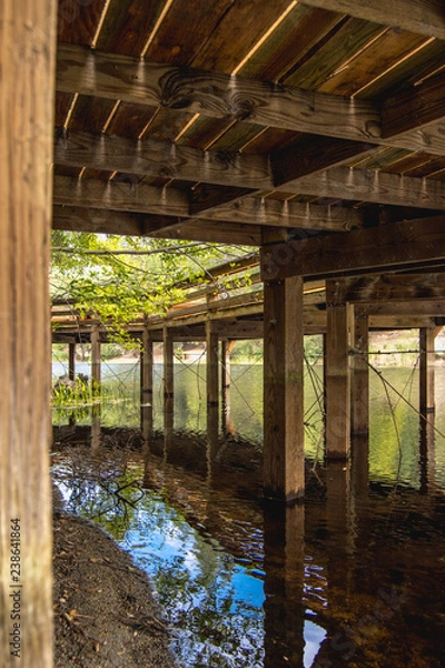 Obraz bridge on a lake