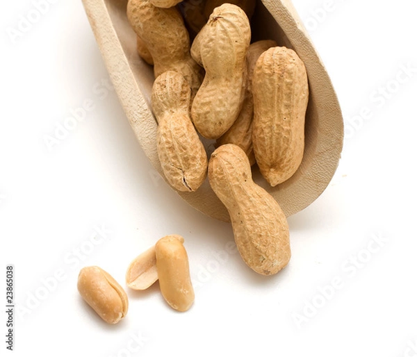 Fototapeta arachidi