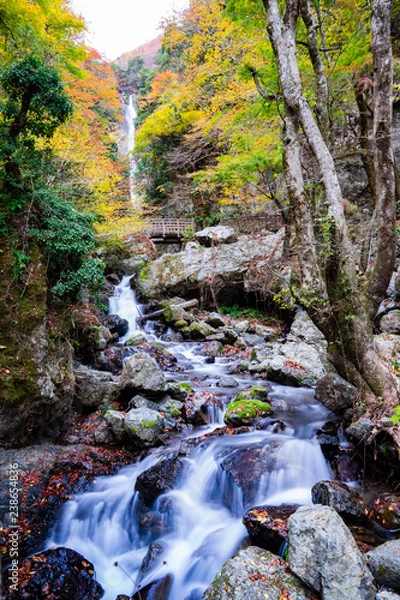 Fototapeta 神庭の滝