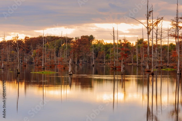 Obraz Fall sunset on lake