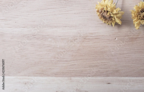 Obraz wood background