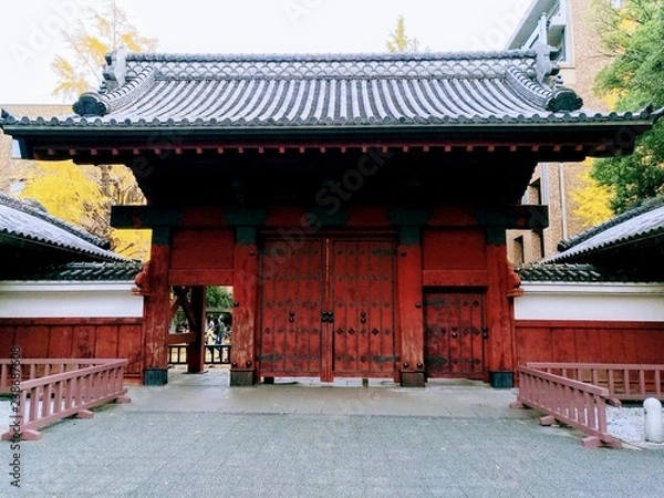 Obraz 東京大学赤門