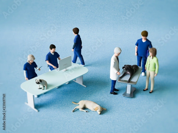 Fototapeta 動物病院スタッフ