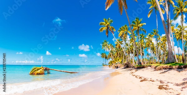 Fototapeta Dominicna