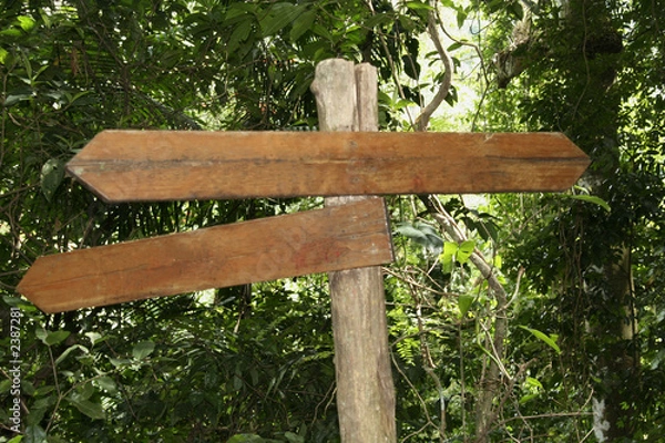 Obraz sign on a nature trail