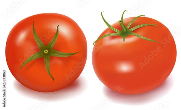 Obraz Tomatoes. Photo-realistic vector.