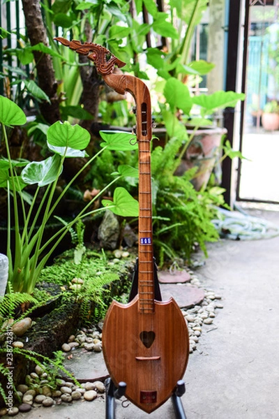 Fototapeta guitar on tree