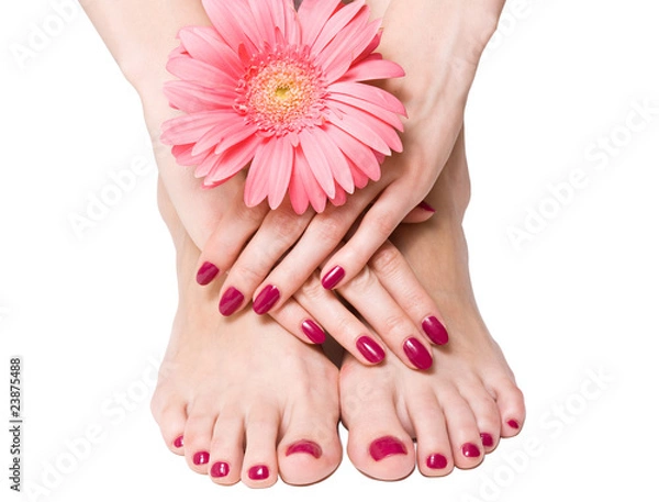Obraz Pink manicure and pedicure with a flower