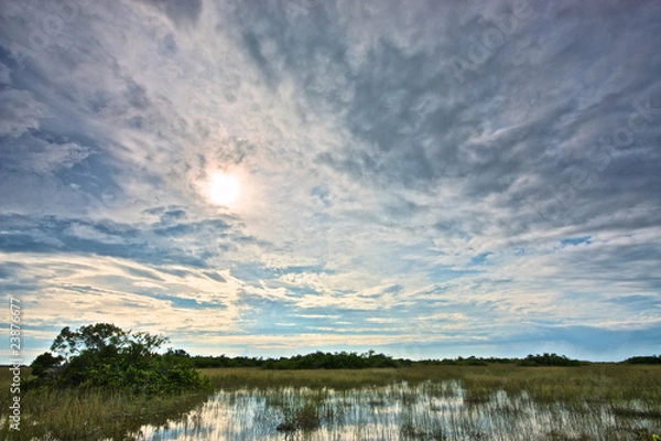 Obraz Everglades