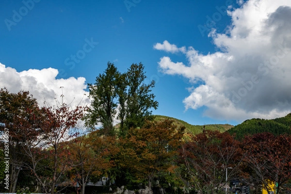 Fototapeta 秋の空と雲