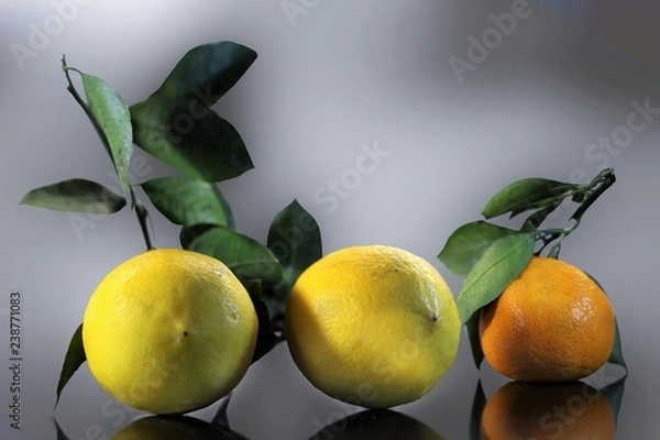 Fototapeta Two lemons and tangerine lying on the table