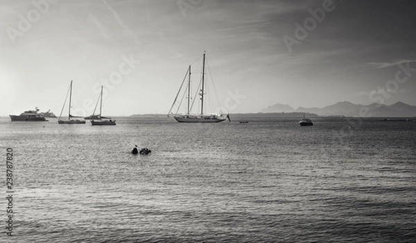 Fototapeta Black and white picture of the yachts and sailboats at anchor in Golfe Juan at the French beach resort of Juan-les-Pins with the island Ile Sainte-Marguerite in the background