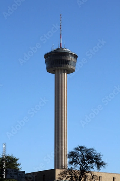 Obraz tower of the americas in san antonio, texas