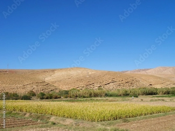 Fototapeta OLYMPUS DIGITAL CAMERA