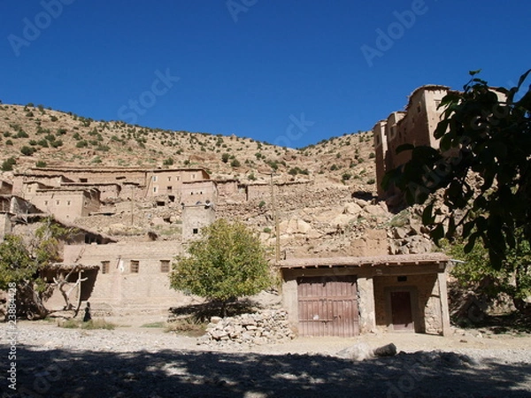 Fototapeta OLYMPUS DIGITAL CAMERA