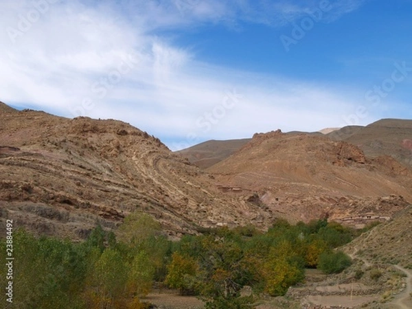 Fototapeta OLYMPUS DIGITAL CAMERA