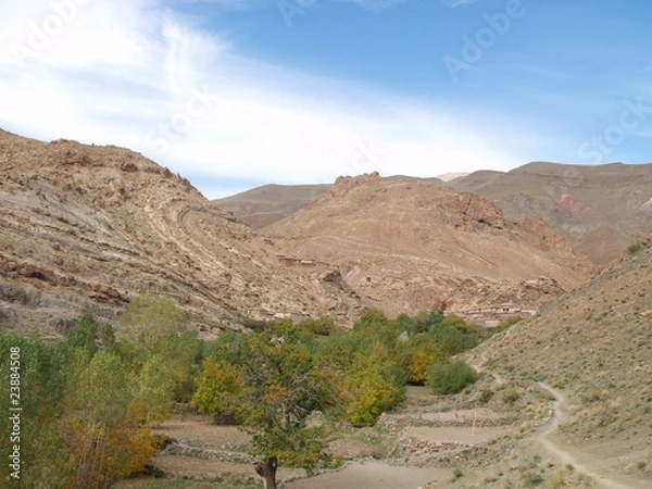 Fototapeta OLYMPUS DIGITAL CAMERA