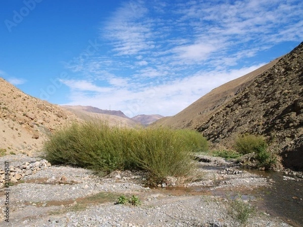 Fototapeta OLYMPUS DIGITAL CAMERA