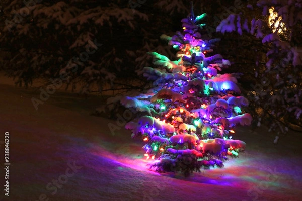 Fototapeta Winter night scene with glowing in the dark christmas tree decorated by colorful lights and covered by fresh snow. Seasonal winter holidays background, good for wallpaper, card, poster and banner.