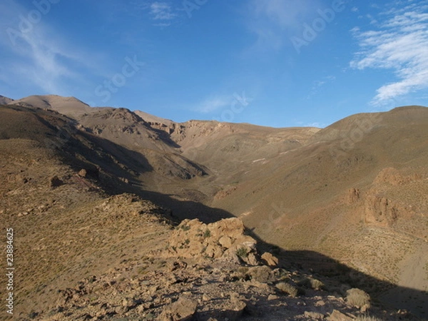 Fototapeta OLYMPUS DIGITAL CAMERA