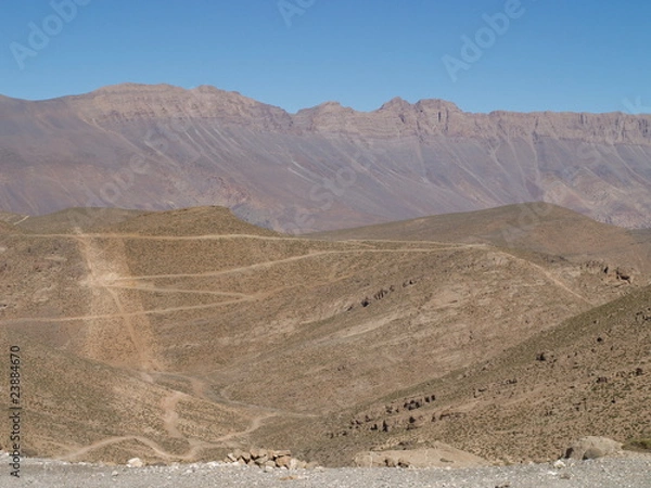 Fototapeta OLYMPUS DIGITAL CAMERA