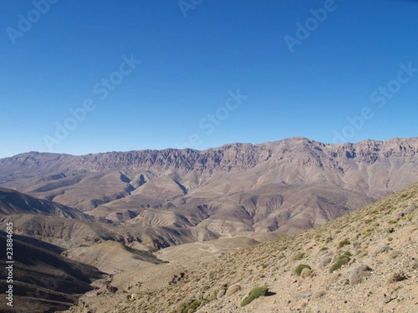 Fototapeta OLYMPUS DIGITAL CAMERA