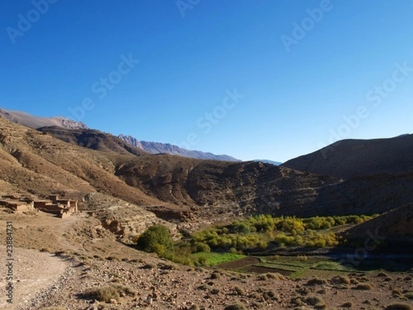 Fototapeta OLYMPUS DIGITAL CAMERA