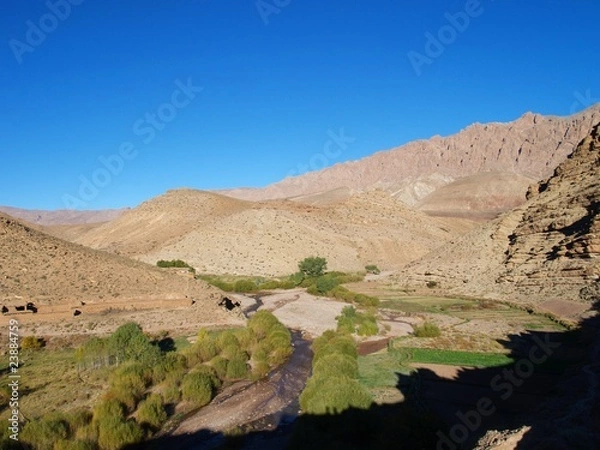 Fototapeta OLYMPUS DIGITAL CAMERA