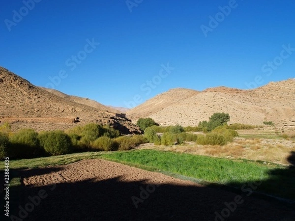 Fototapeta OLYMPUS DIGITAL CAMERA