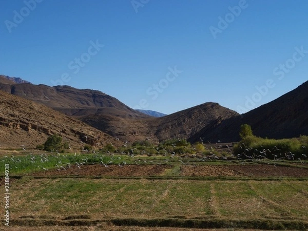 Fototapeta OLYMPUS DIGITAL CAMERA