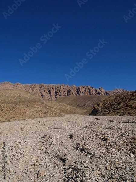 Fototapeta OLYMPUS DIGITAL CAMERA