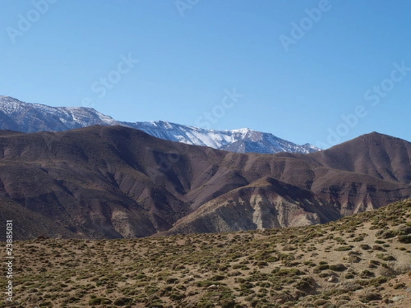 Fototapeta OLYMPUS DIGITAL CAMERA