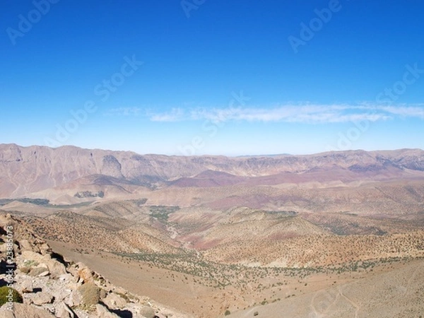 Fototapeta OLYMPUS DIGITAL CAMERA