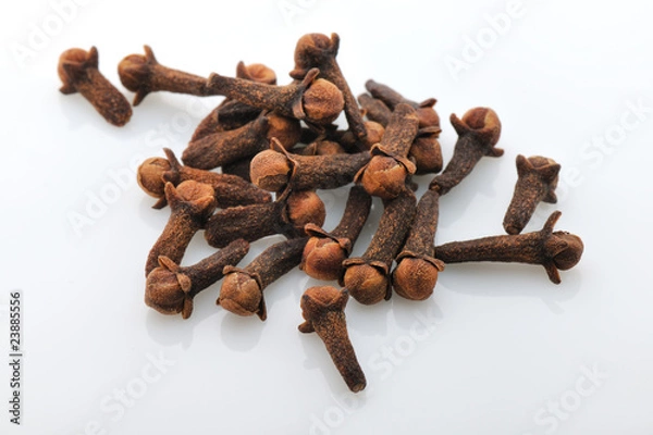 Obraz Clou de girofle