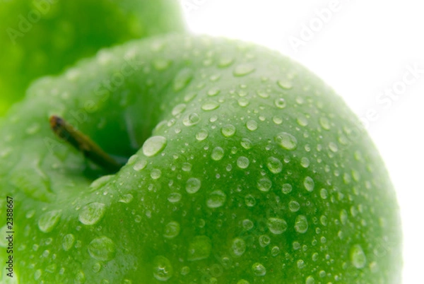 Obraz zielone jabłko