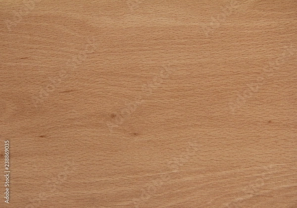 Fototapeta Pattern of solid wood grain texture.Products from saw mill with timber or log to dimensional timber or veneer texture background.