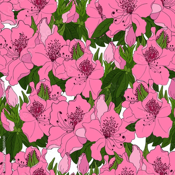Fototapeta Seamless pattern with exotic pink azalea flowers and bright green foliage on white bono. Vector illustration.
