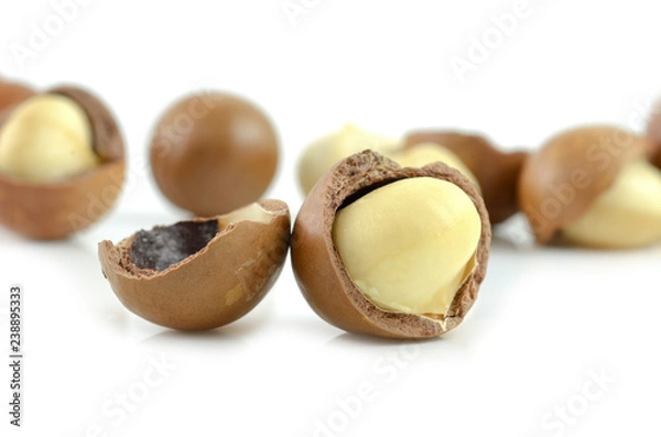 Fototapeta Macadamia nuts on white background.