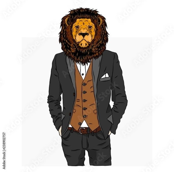 Fototapeta Illustration of lion  hipster dressed up in jacket, pants and sweater. Vector illustration