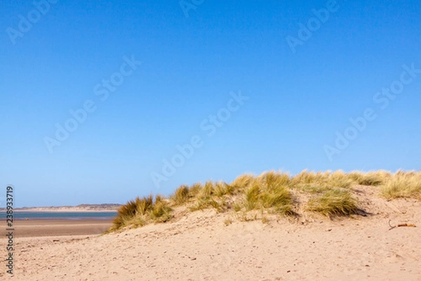 Obraz sand dunes at Instow beach, Devon, UK