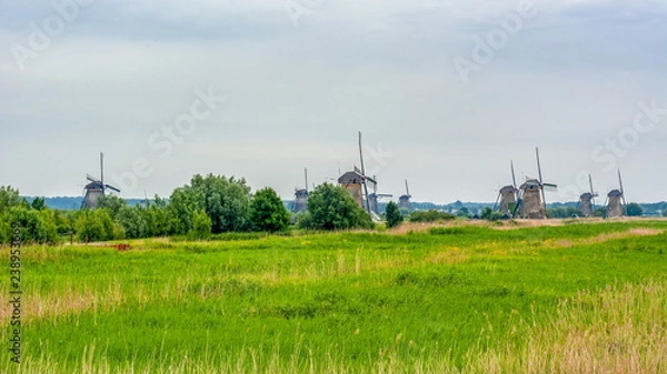 Fototapeta Windmills in Kinderdijk, Netherlands