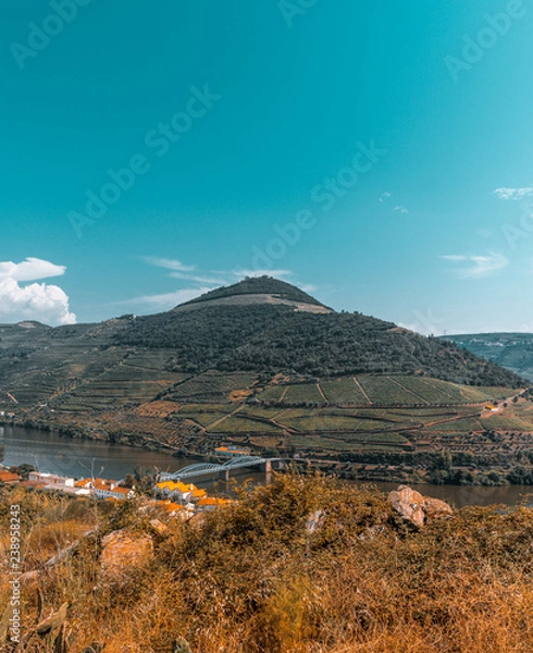 Fototapeta Douro