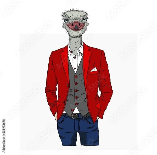 Fototapeta Illustration of ostrich hipster dressed up in jacket, pants and sweater. Can be used for printing on T-shirts, flyers, etc. Vector illustration