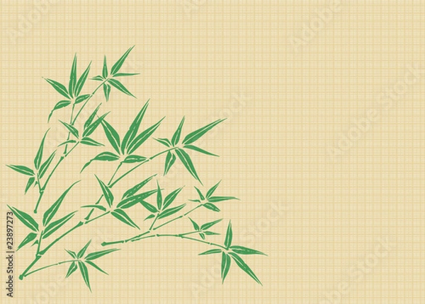 Fototapeta A small bamboo