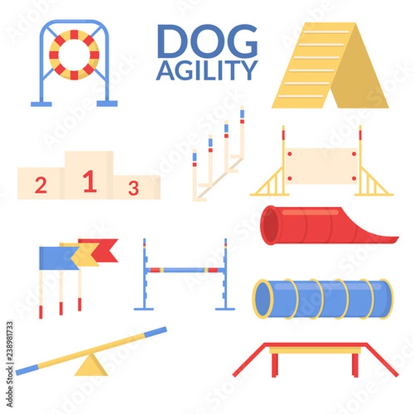 Obraz Dog agility jumping obstacle set
